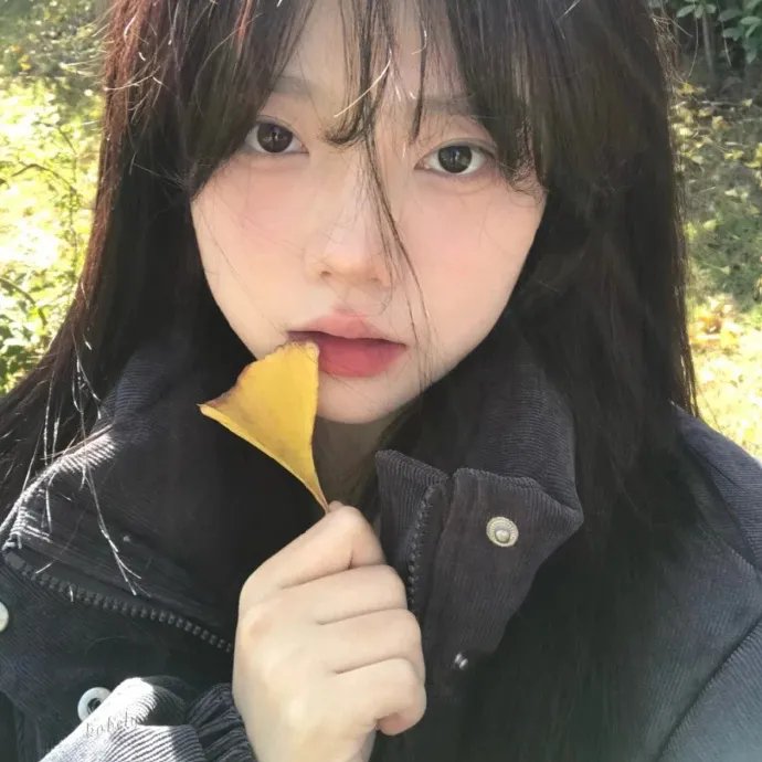 华丽一族