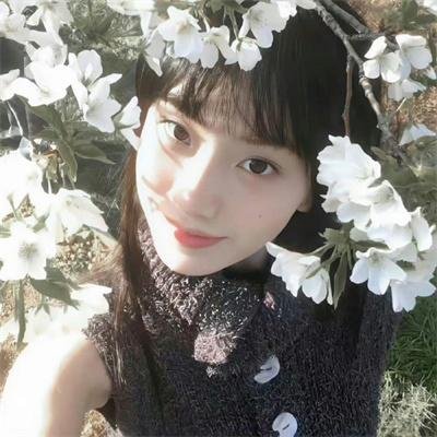 我们的乐坛